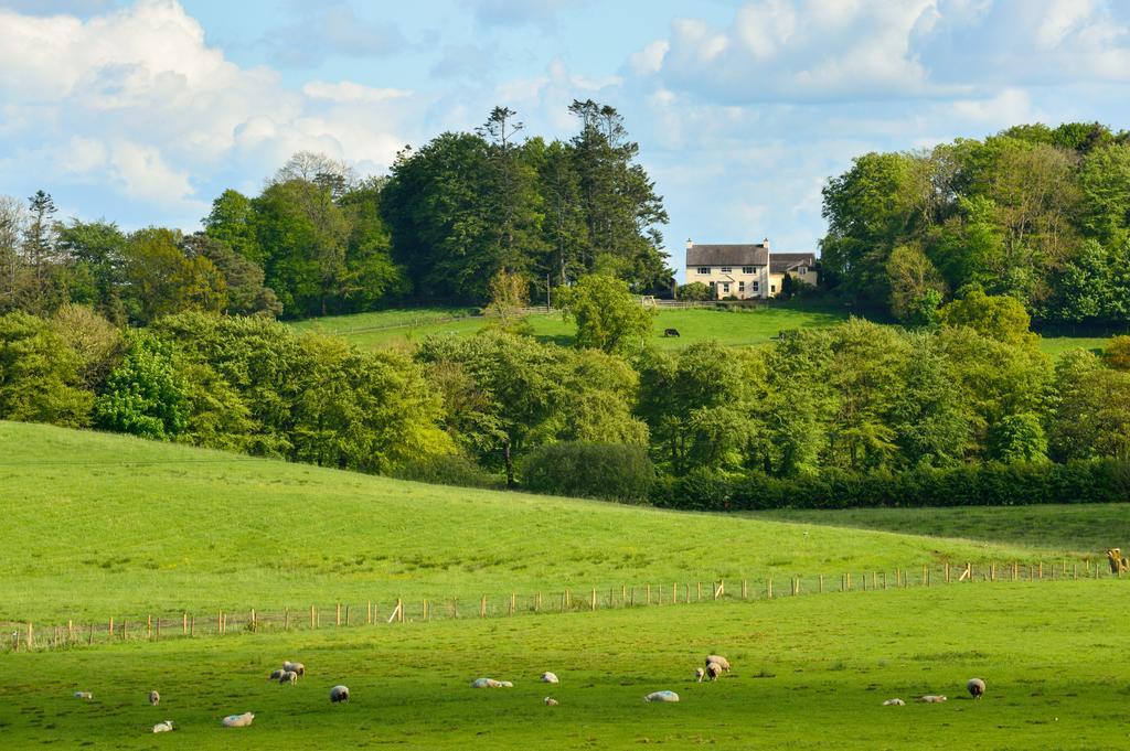 Dromard House Bed & Breakfast Enniskillen Eksteriør bilde