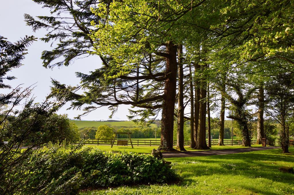 Dromard House Bed & Breakfast Enniskillen Eksteriør bilde
